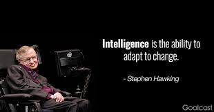 stephen hawkins
